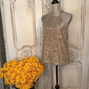 Cable& Gauge Silver Mini Sequined Cut N Sleeveless Occassion Top Size Large